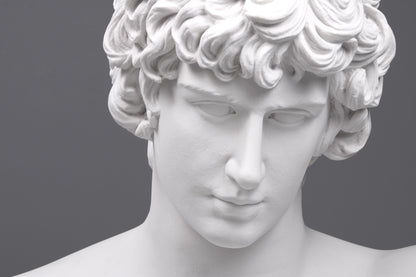 Antinous Bust (Large)