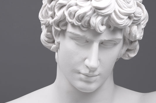 Antinous Bust (Large)