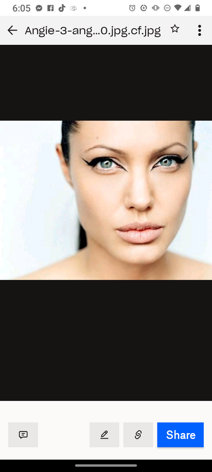 Angelina Jolie?Life mask / life cast #2