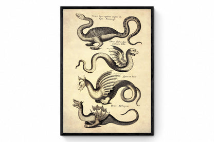Dragons Print dated 1650