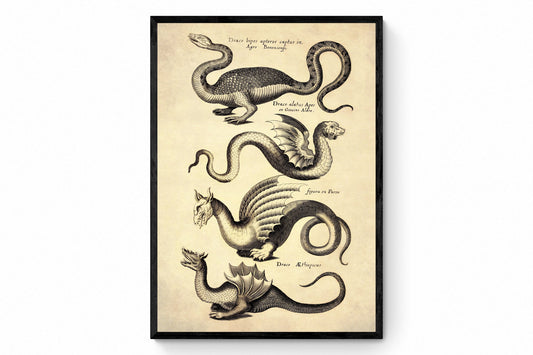 Dragons Print dated 1650